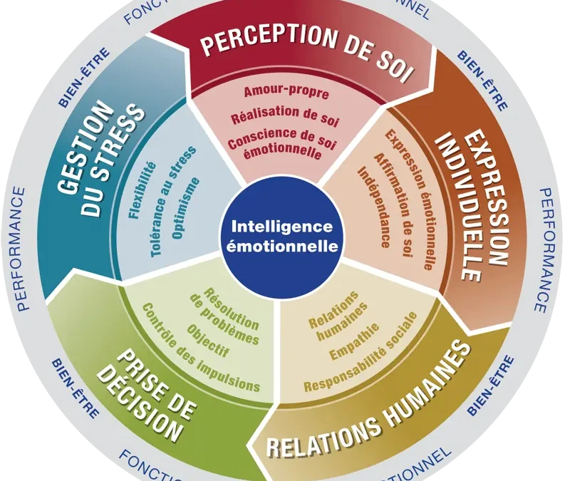 Peut-on mesurer l&rsquo;intelligence émotionnelle ?