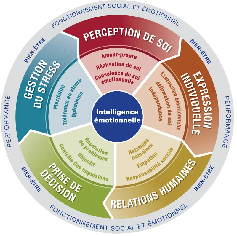 Intelligence-Emotionnelle-roue-Bar-On